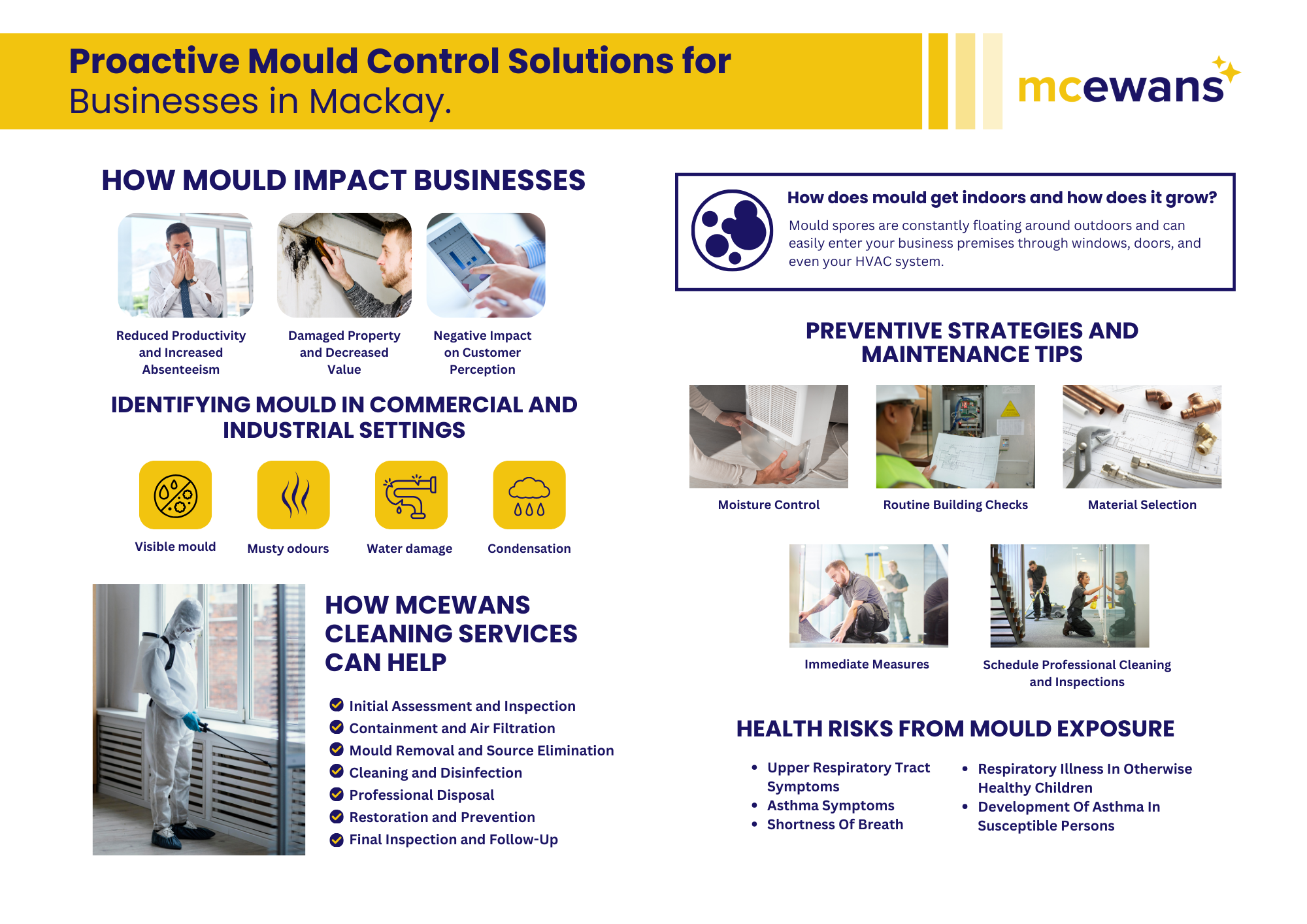 Proactive Mould Control Solutions for Businesses in Mackay, Queensland 